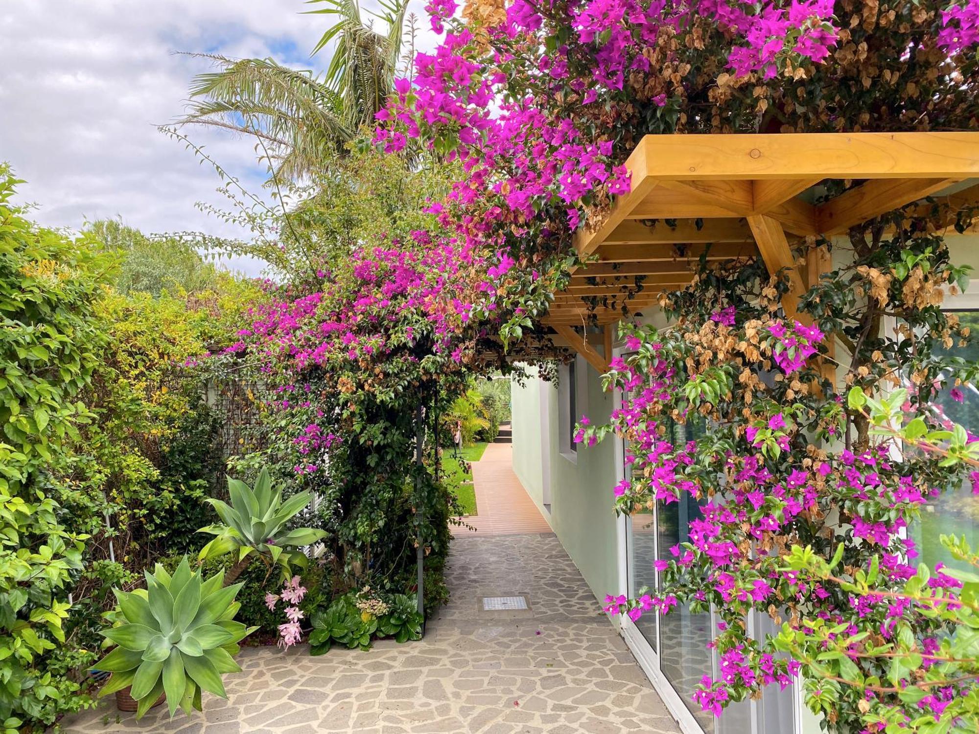 Terra Vivaz - Ribeira Cottage Ribeira Grande Buitenkant foto